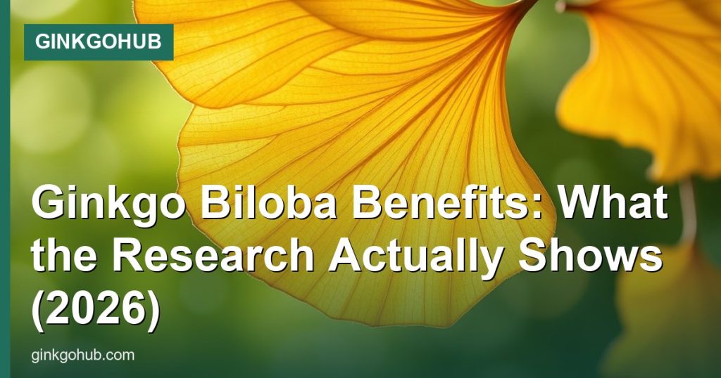 Ginkgo Biloba Benefits: What the Research Actually Shows (2026) - GinkgoHub