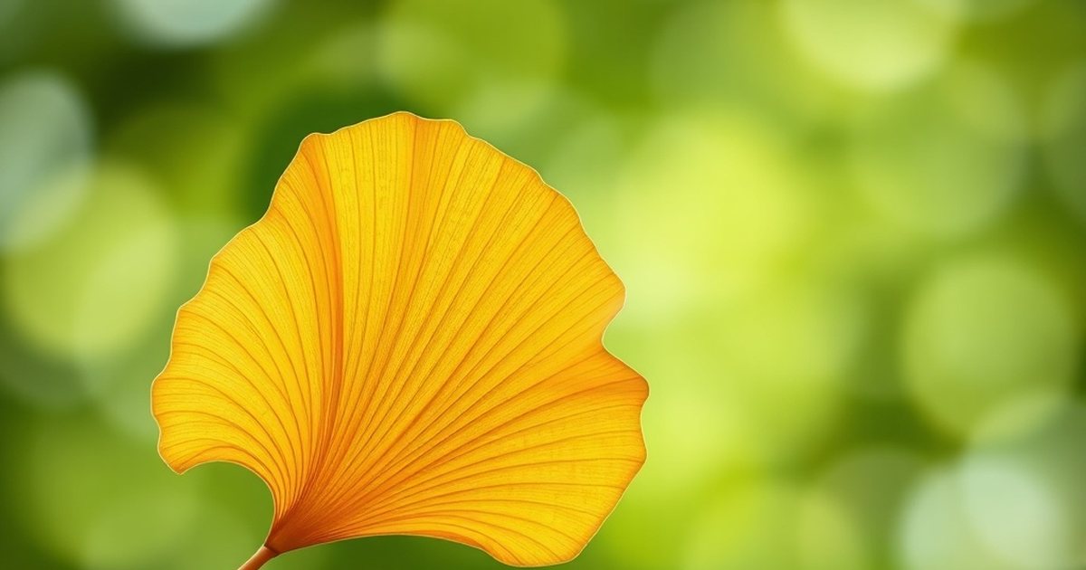 Ginkgo for Memory and Cognitive Sharpness: A Balanced Perspective - GinkgoHub