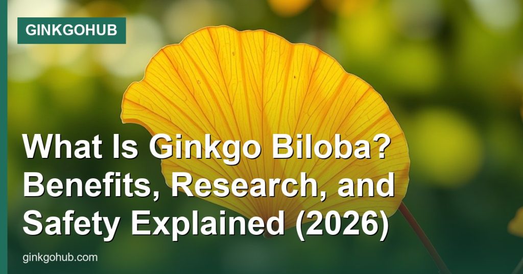 What Is Ginkgo Biloba? Benefits, Research, and Safety Explained (2026) - GinkgoHub
