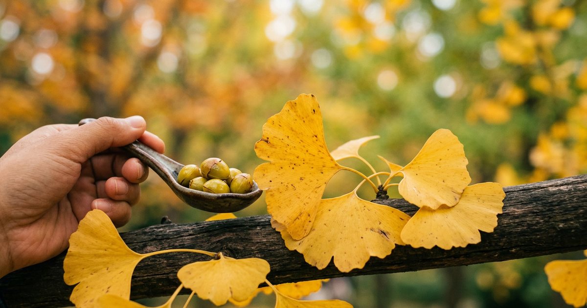 Practical Considerations for Taking Ginkgo - GinkgoHub