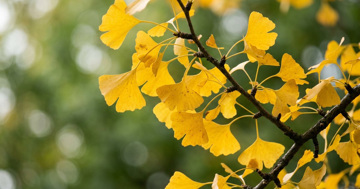 Solvent-Based Extraction: A Key Step in Preparation - GinkgoHub
