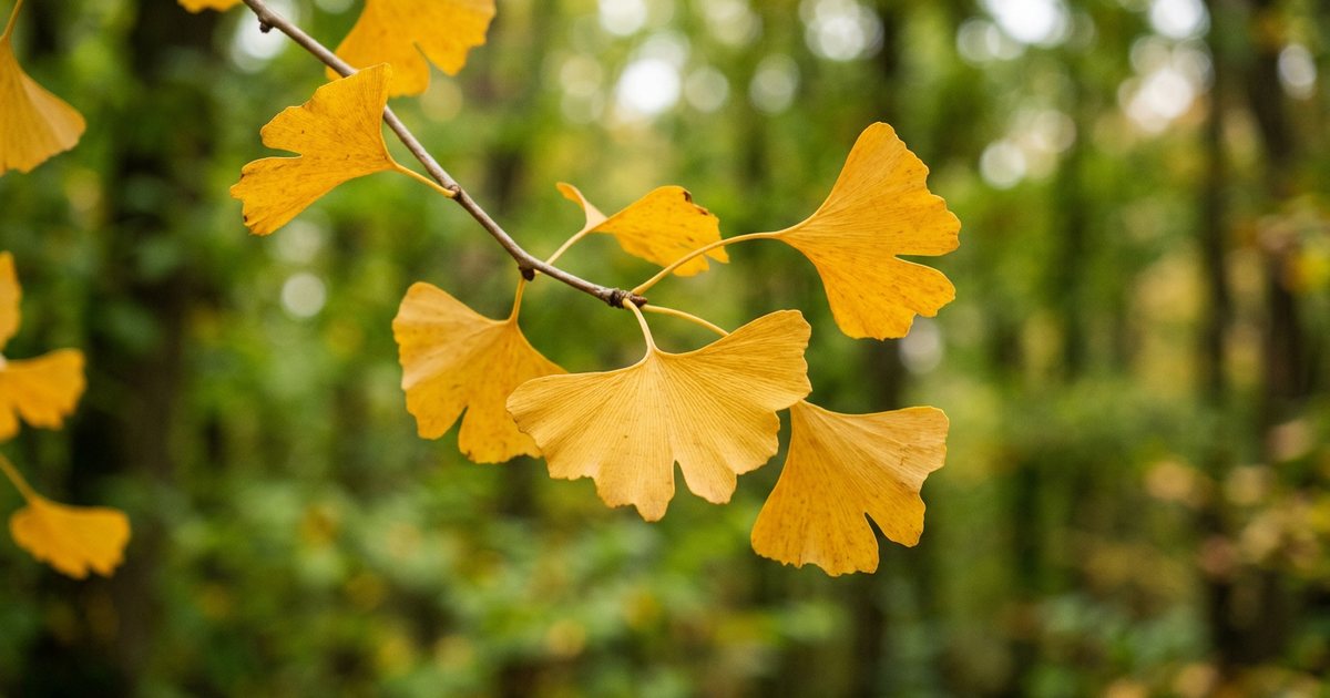 Frequently Asked Questions - GinkgoHub