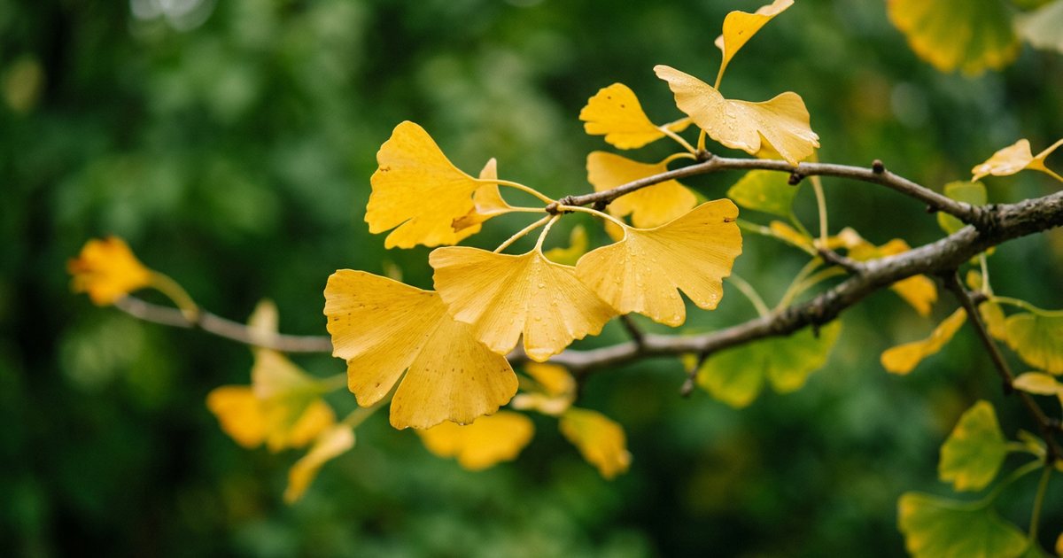 Purity and Quality: Beyond Organic and Non-GMO - GinkgoHub
