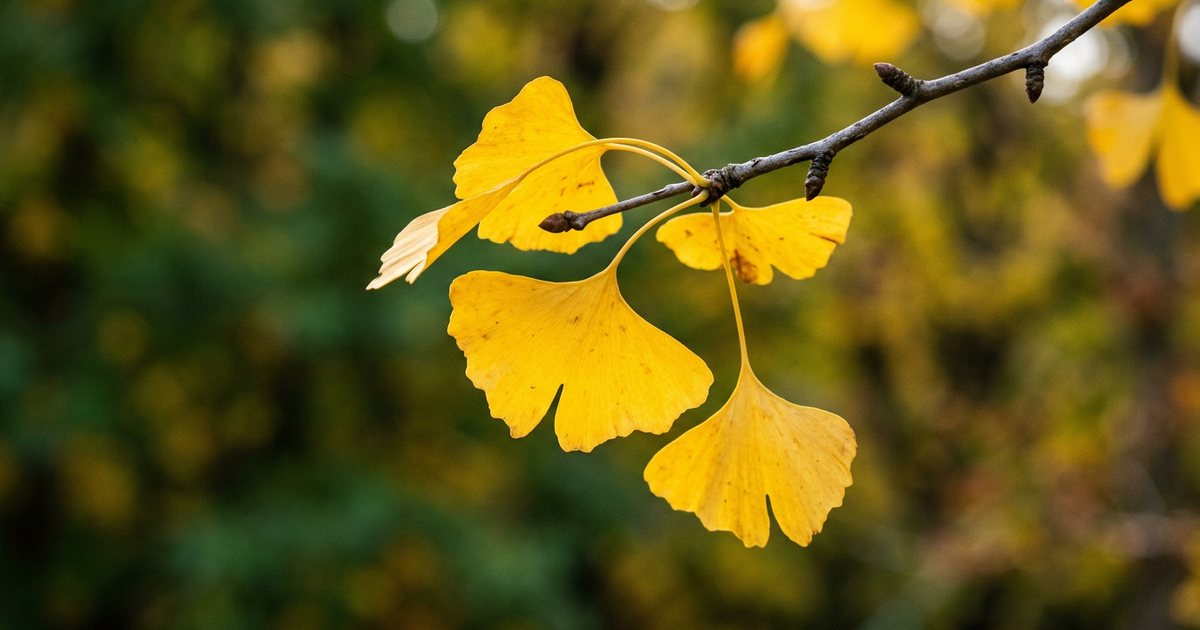 What is Third-Party Testing and Why is it Essential? - GinkgoHub