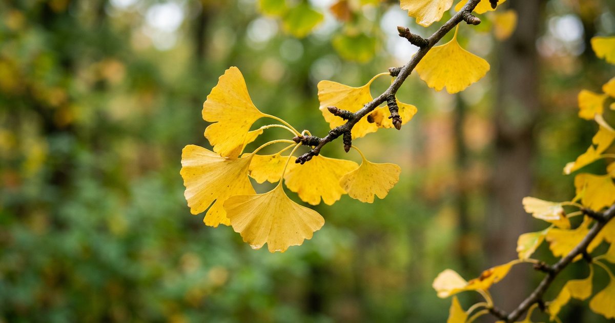 Documented Cases and Research Findings - GinkgoHub